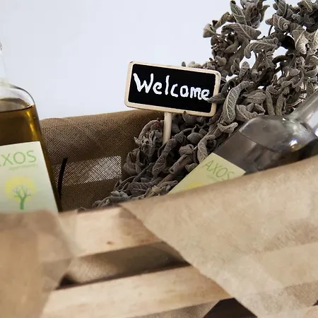 Axos 赫索尼索斯