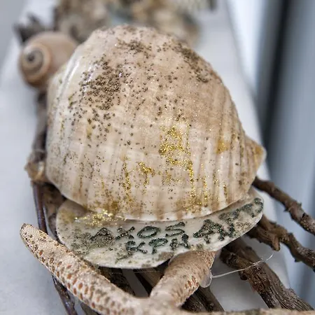 Axos 赫索尼索斯